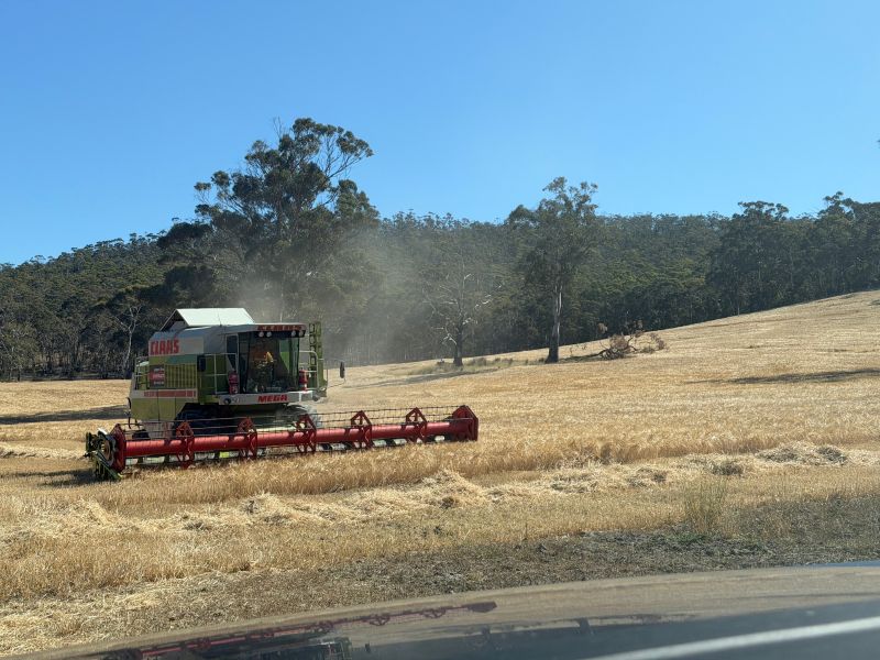 Eden's Barley Trial Reaping Rewards